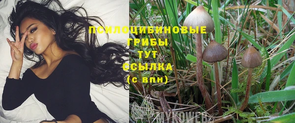 каннабис Сясьстрой